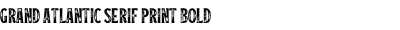 Grand Atlantic Serif Print Bold